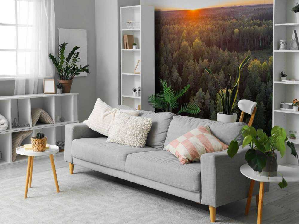 Aerial view of autumn trees