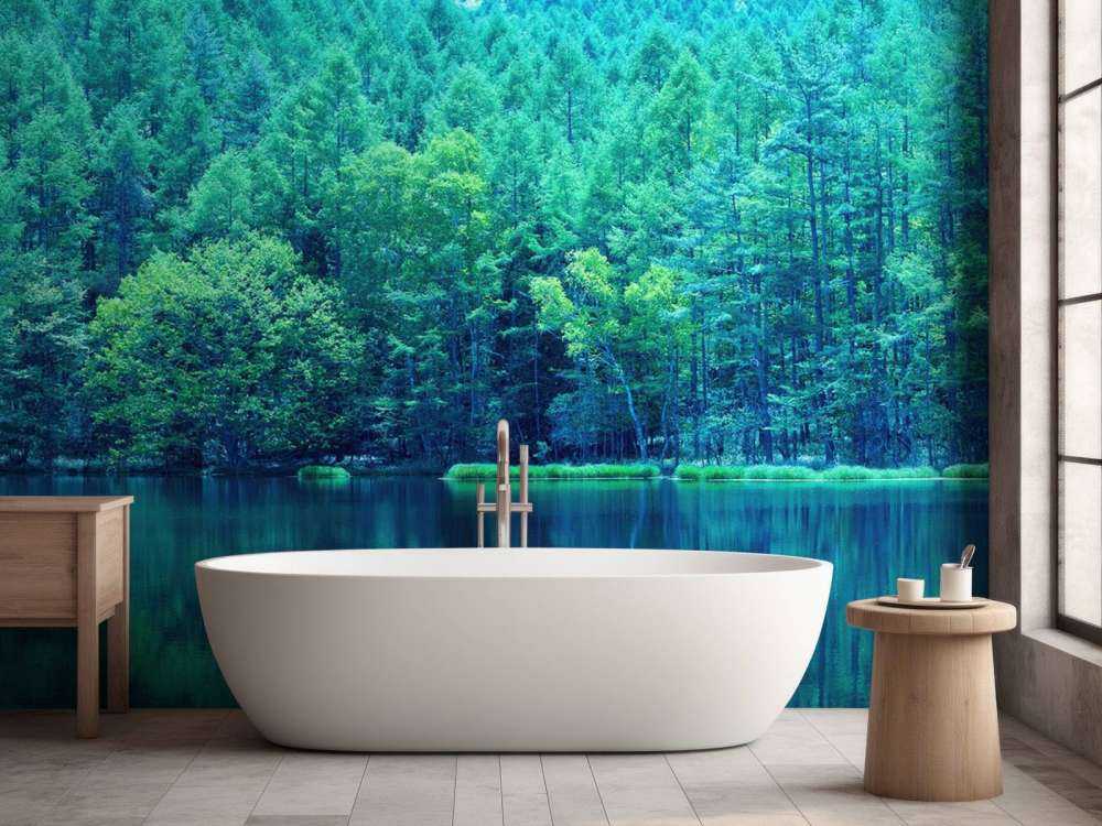 Lake in the green forest