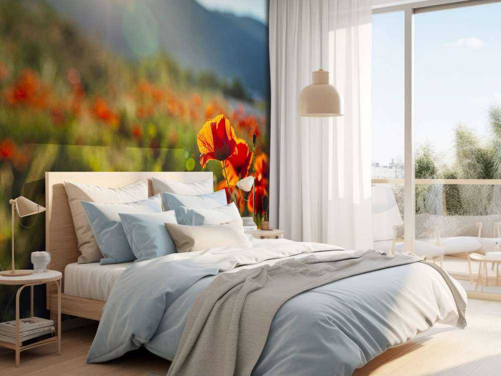 Poppies with sunbeams