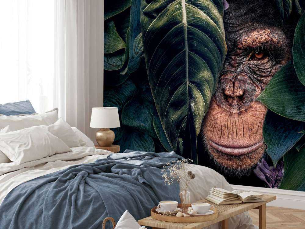 Jungle Chimpanzee