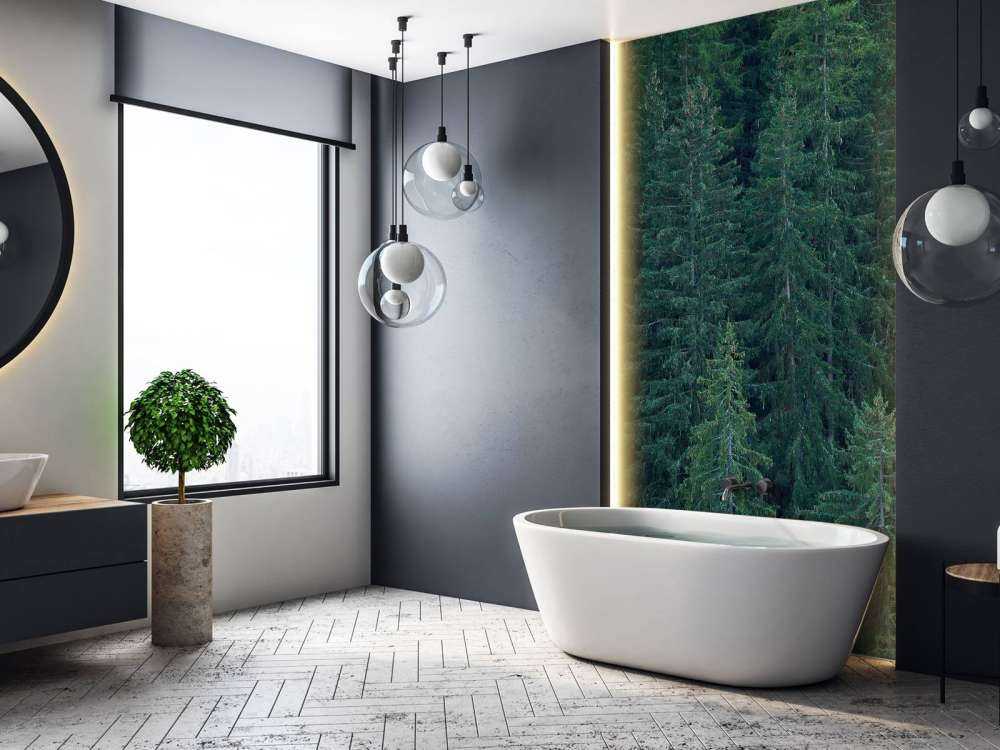 Conifers with pine cones