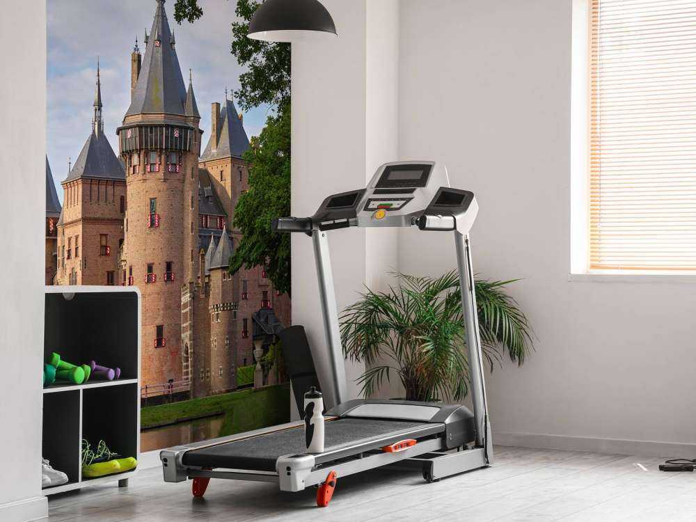 Castle de Haar from the garden