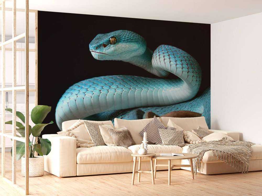 Blue Insular Snake