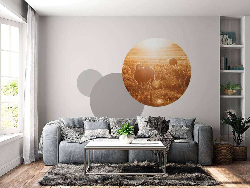 Sheep in beautiful pasture