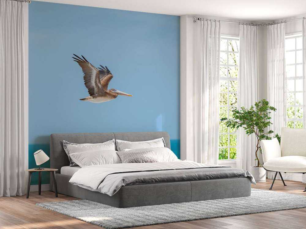 Flying pelican