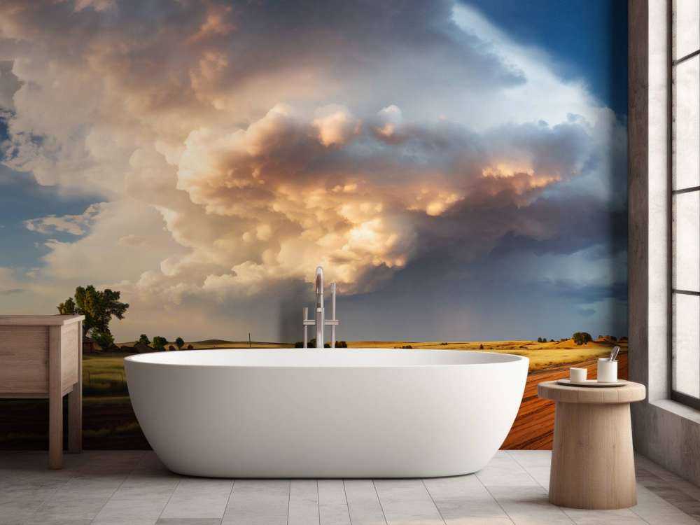 Storm over the Meadow