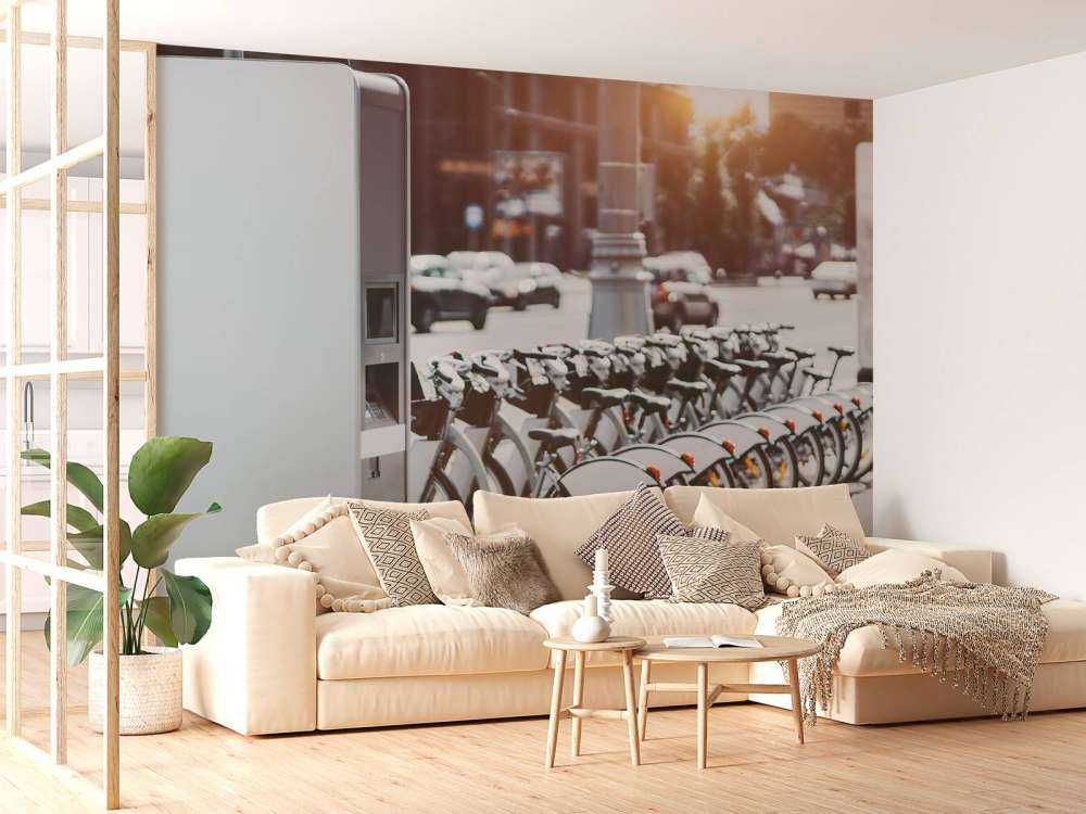 Electric bikes for rent