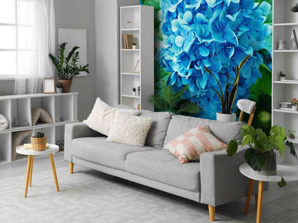 Hydrangea in water