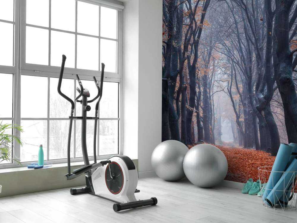 Forest path with leaves