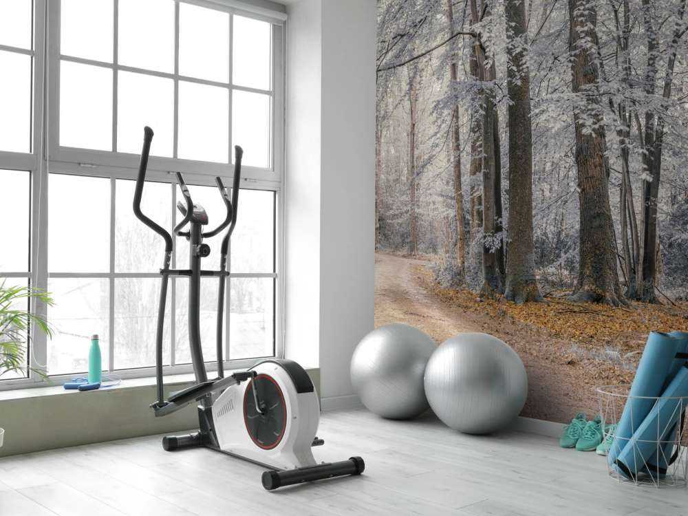 Trees with white leaves