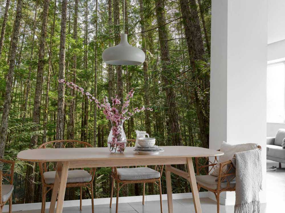 Thin trees in the forest