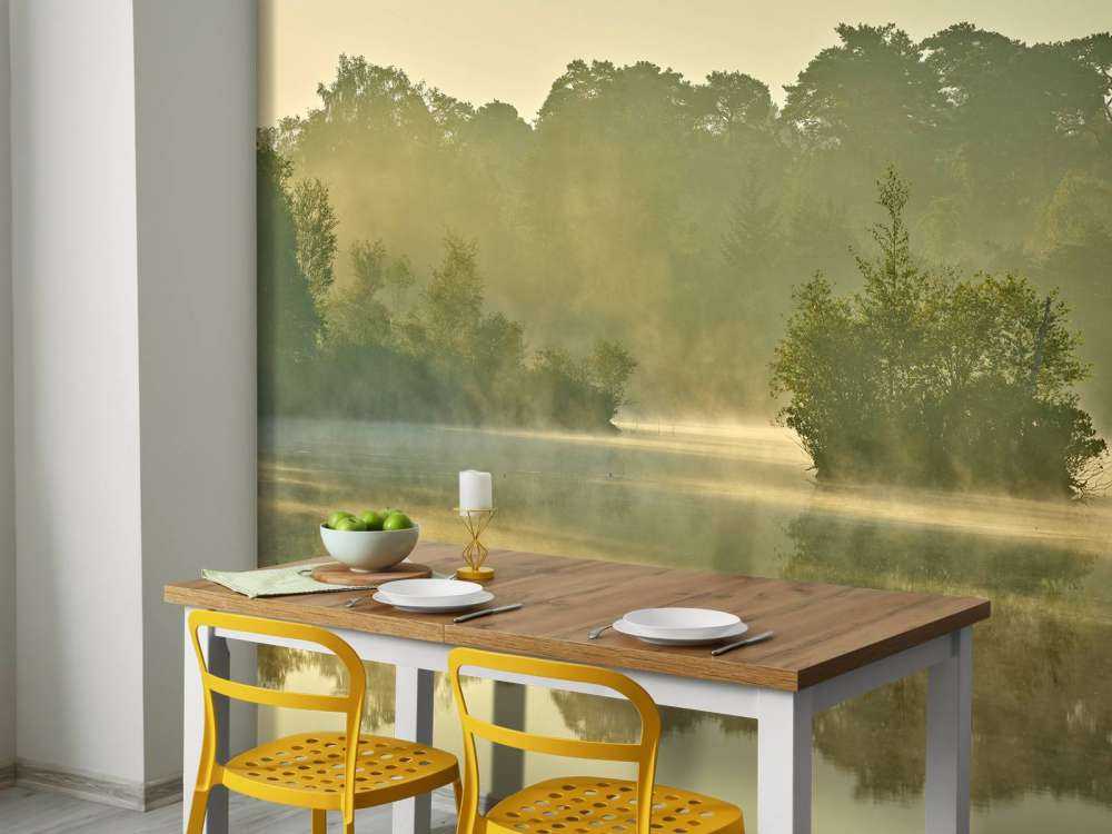 Nebula above a forest lake