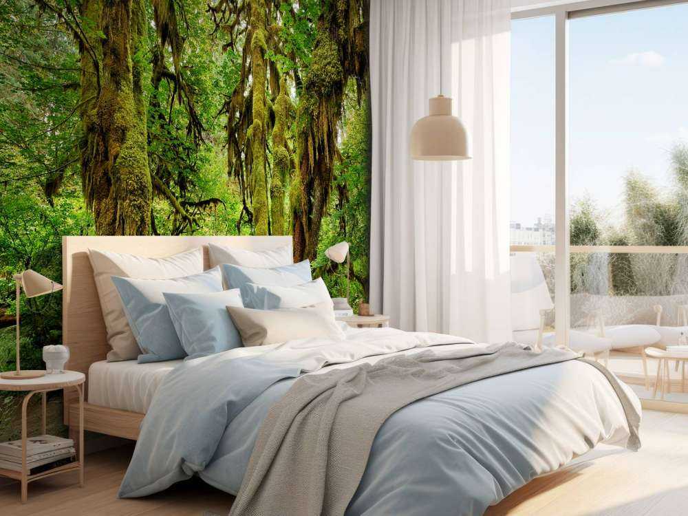 Old wilderness forest