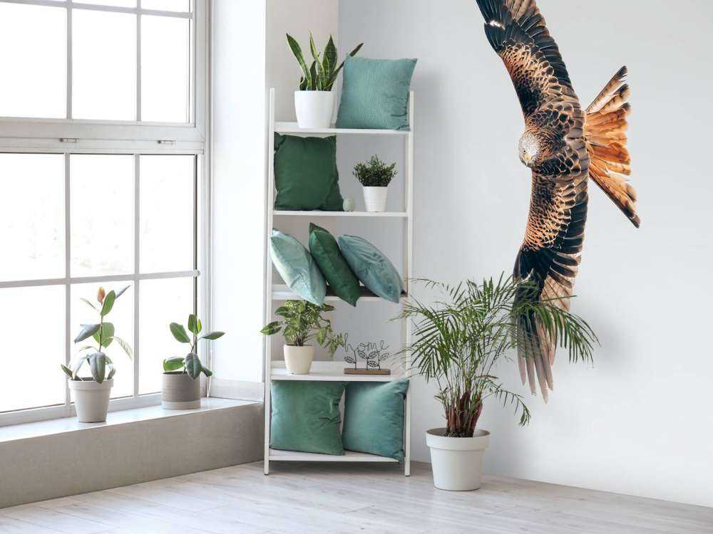 Red kite with wings spread