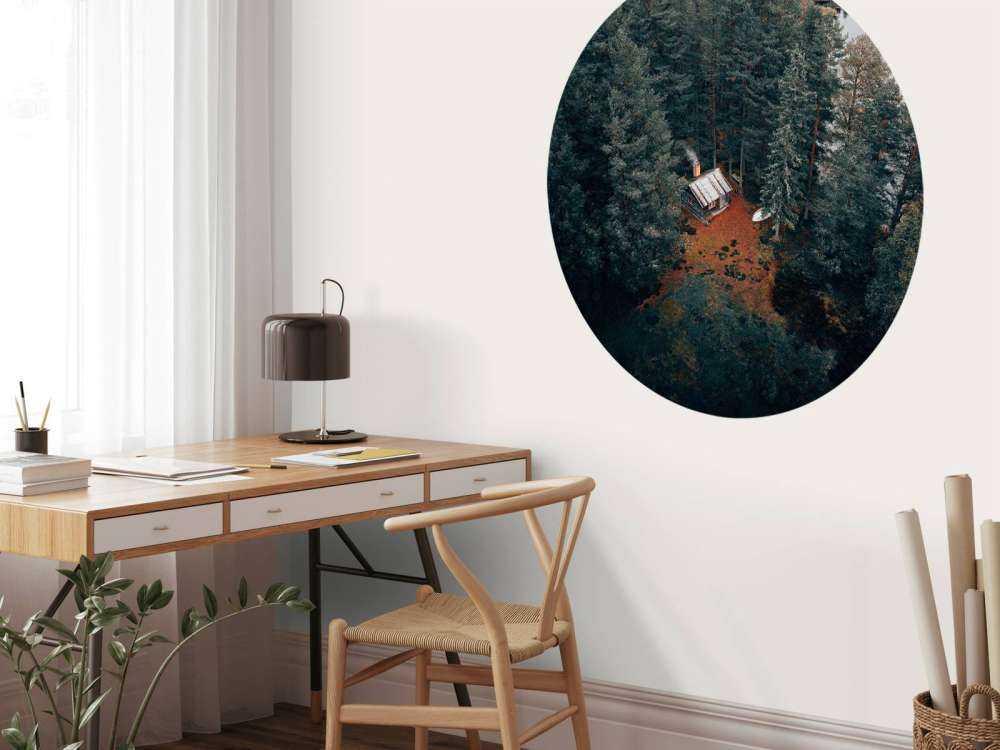 Cabin surrounded by forest and lakes