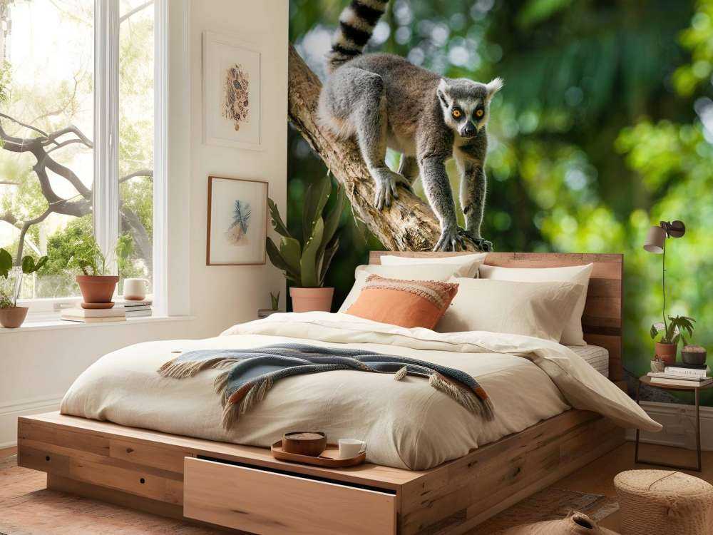 Ring-tailed monkey in a tree