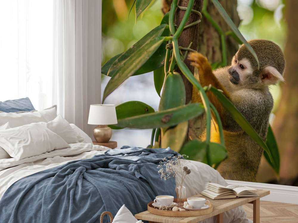 Small monkey in the trees