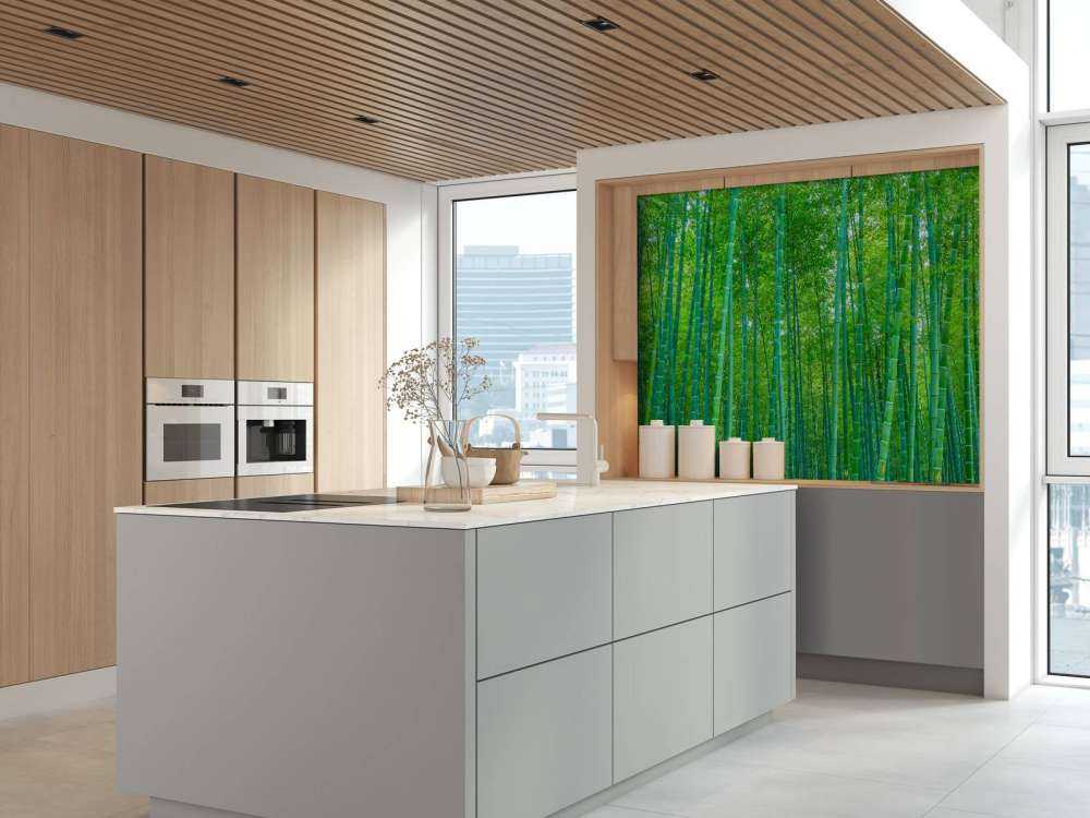 A green bamboo forest