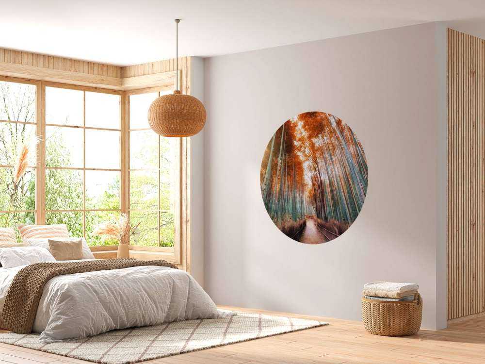 Autumn bamboo forest