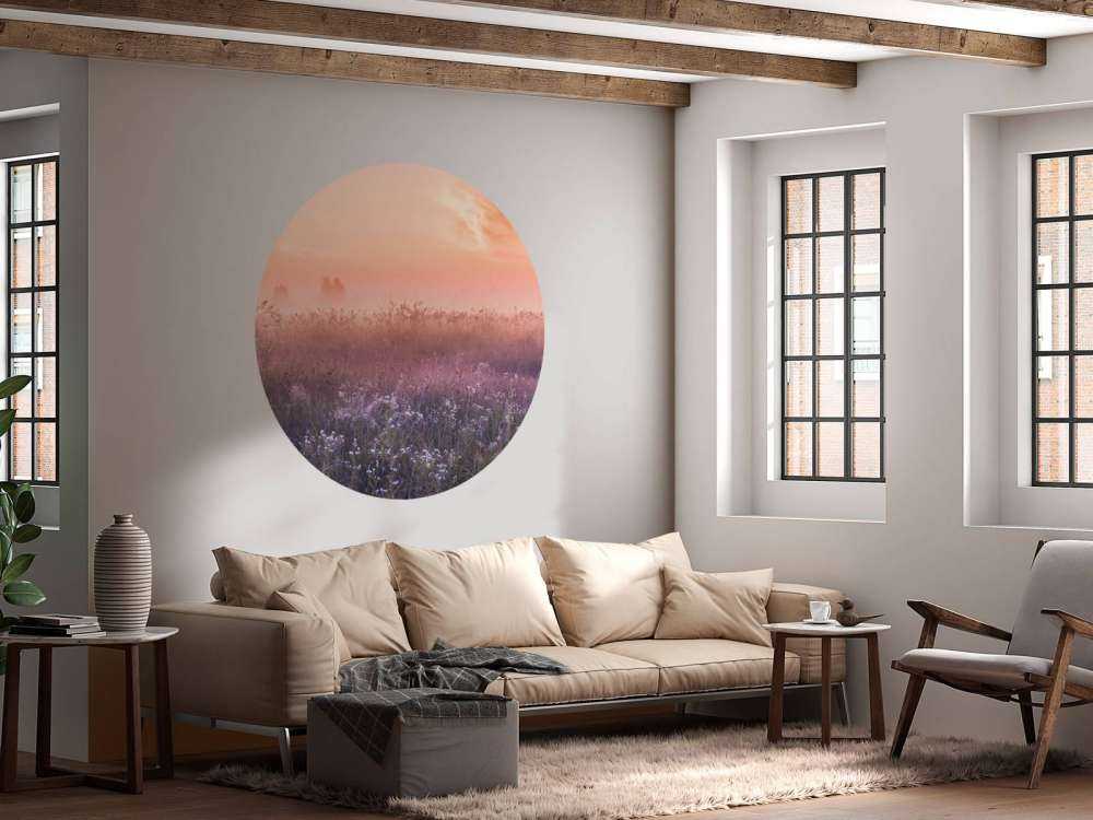 Field with morning mist