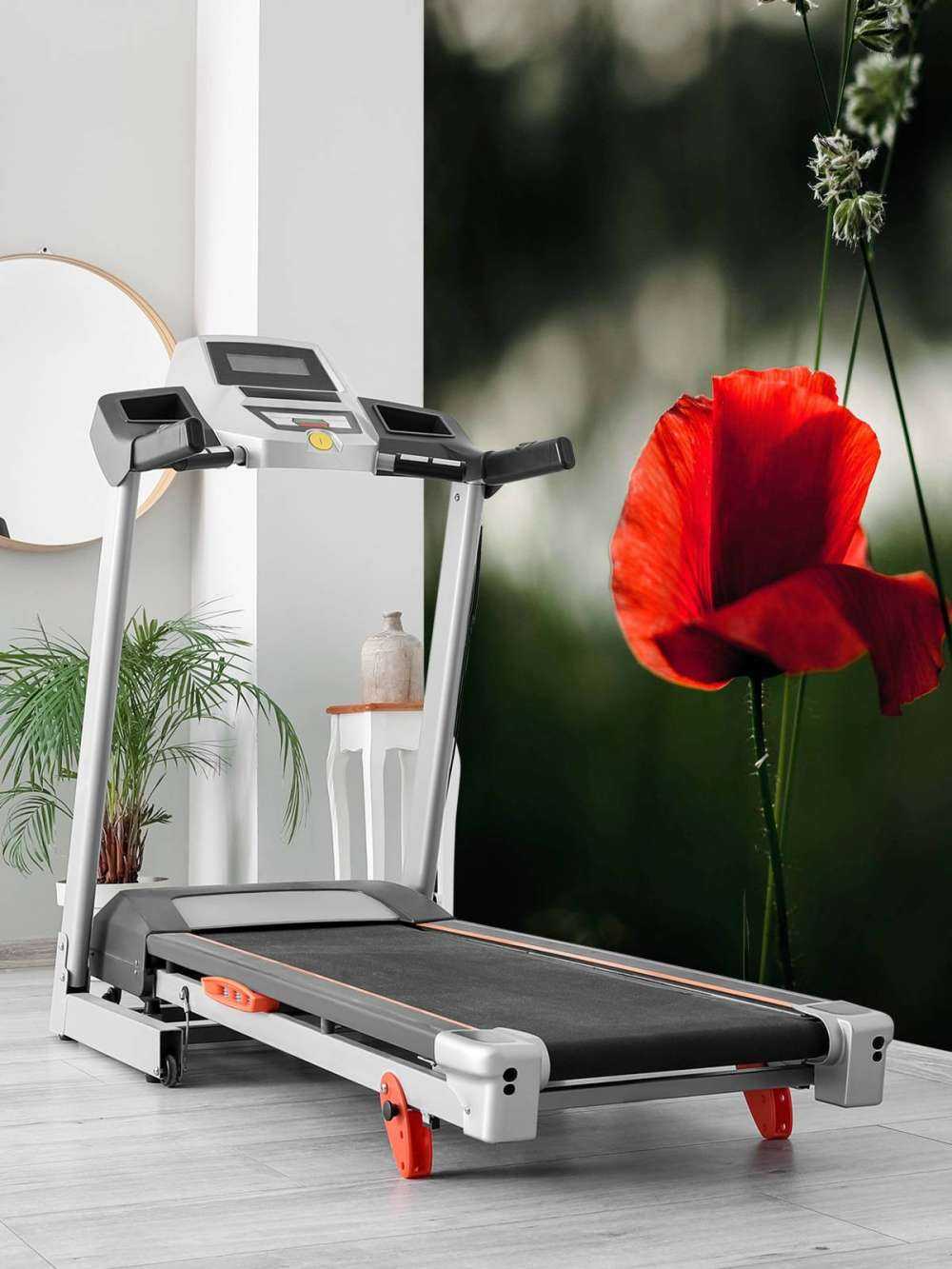 Red poppy with grass