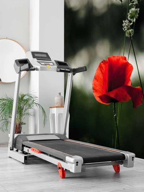 Red poppy with grass