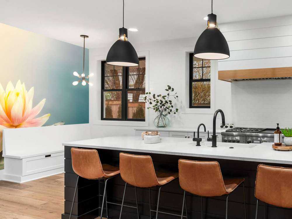 Pond with lotus flowers