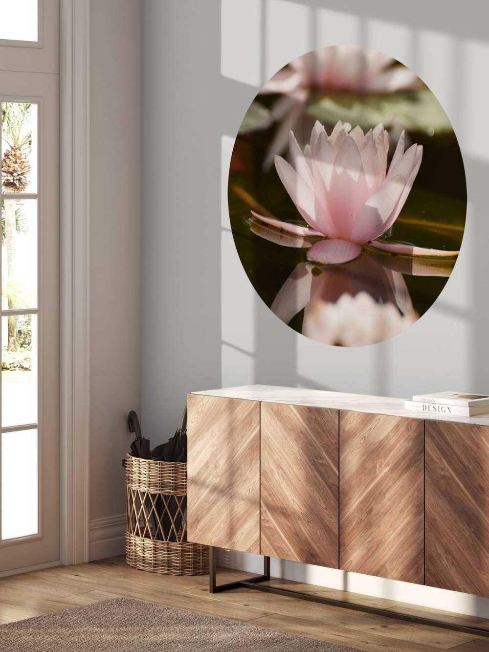 Lotus flower in water