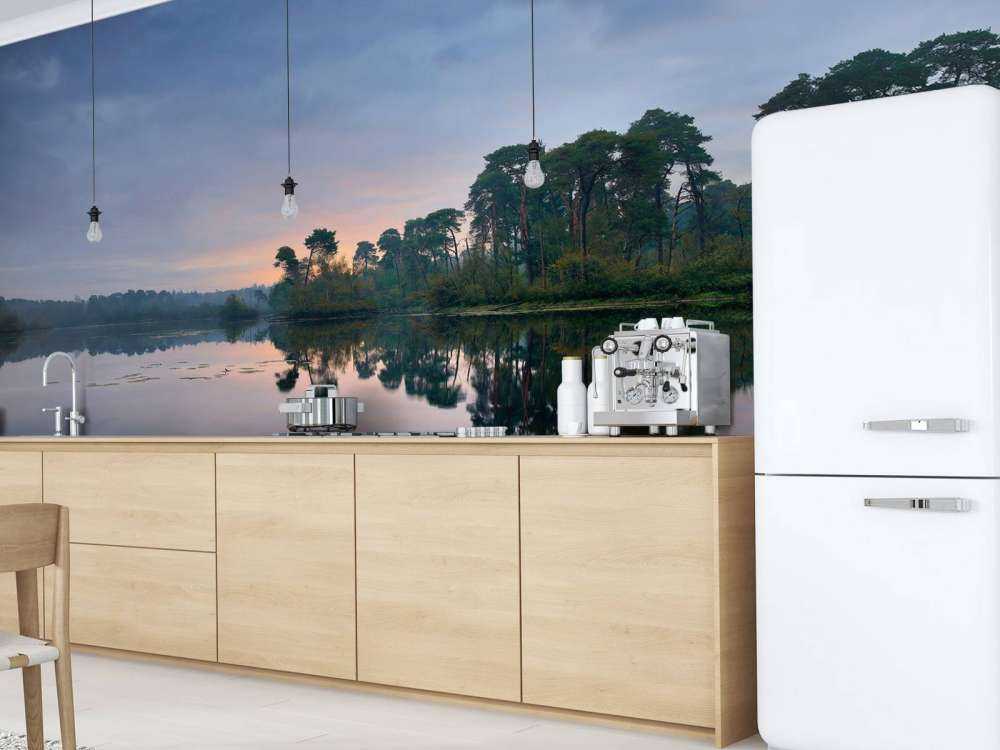 Reflection in forests at sunrise