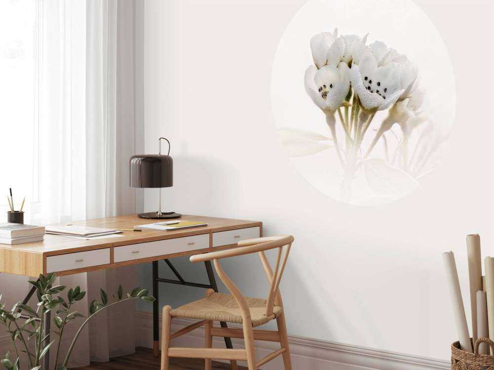 Pear blossom close-up