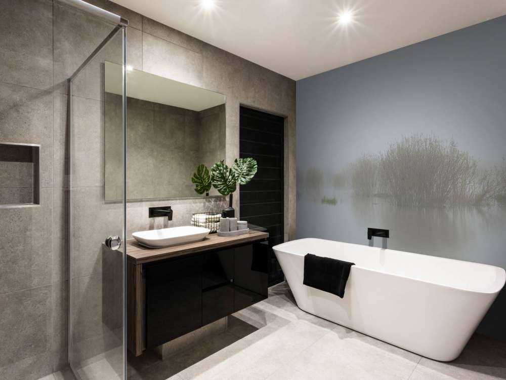 Fog in nature reserve