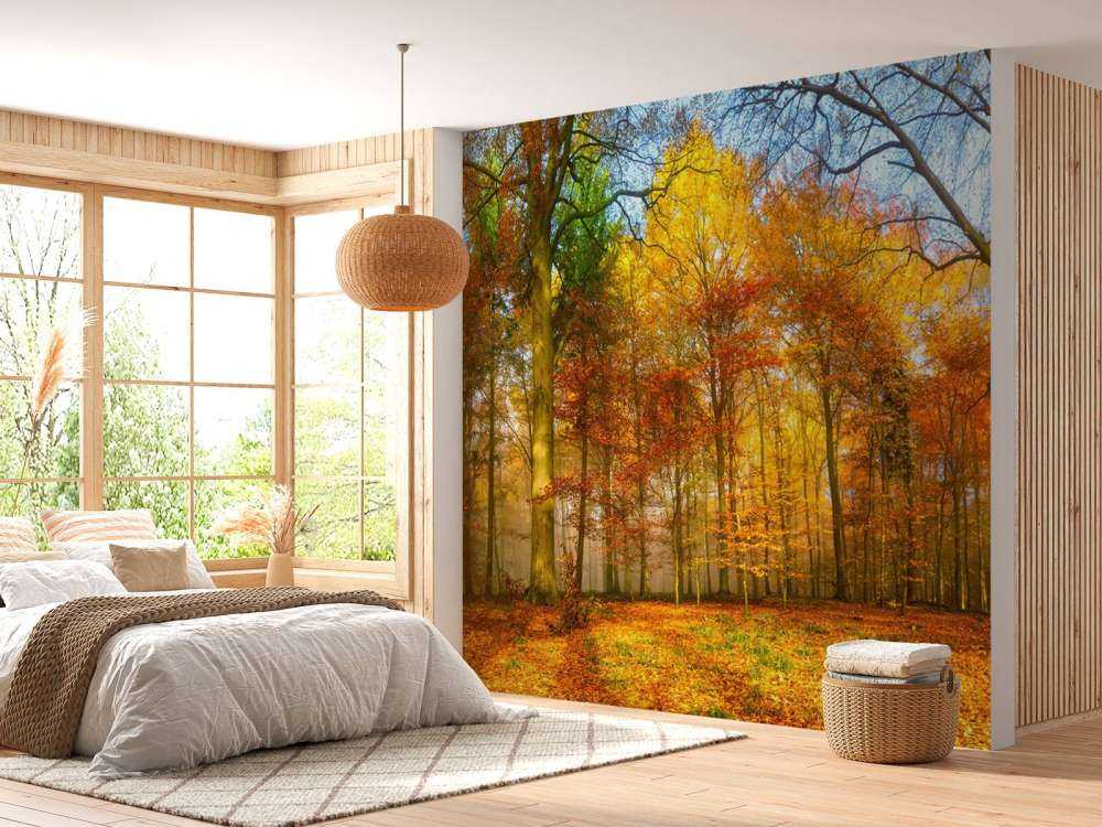 Colorful forest panorama