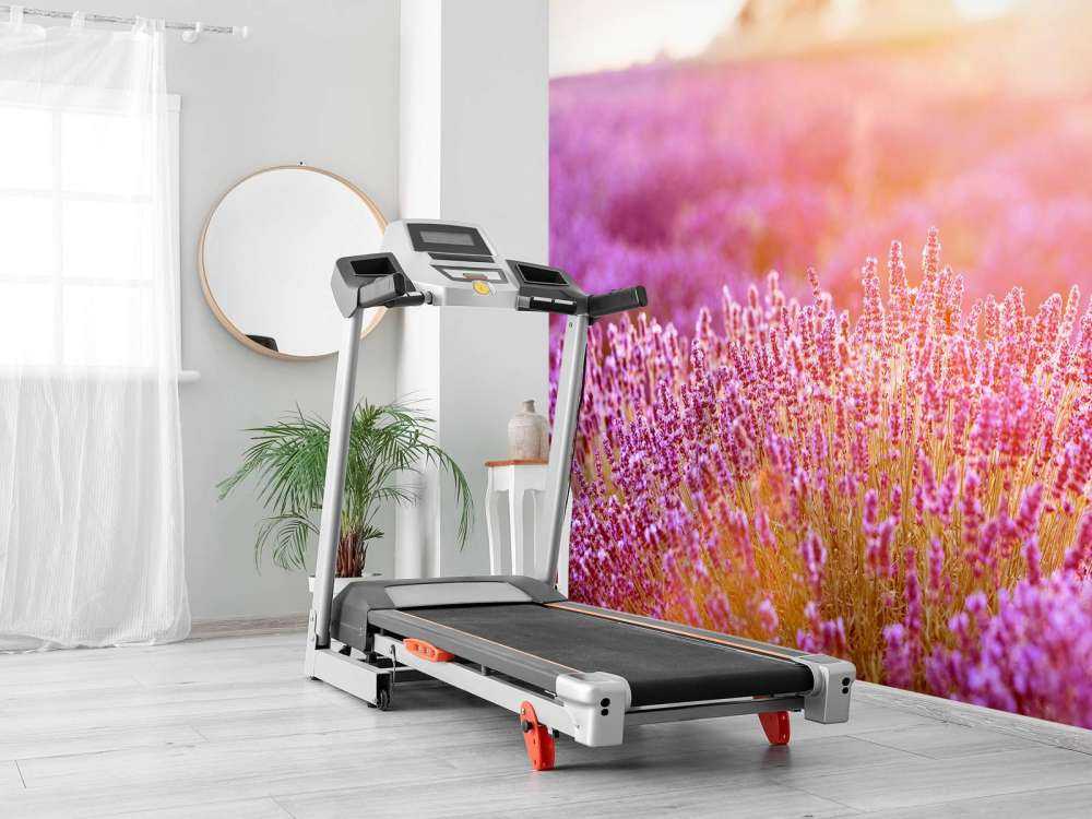 Close-up lavender flowers