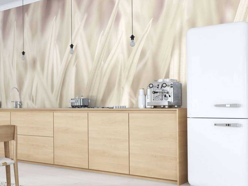 Close-up blades of grass