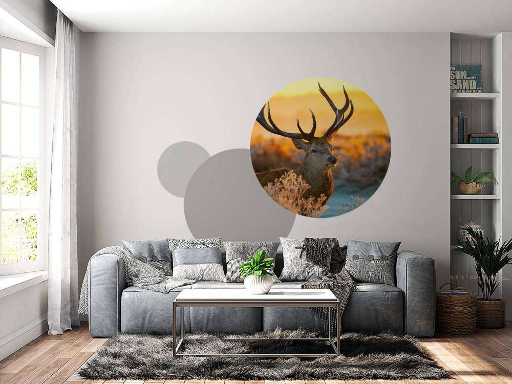 Deer in nature reserve