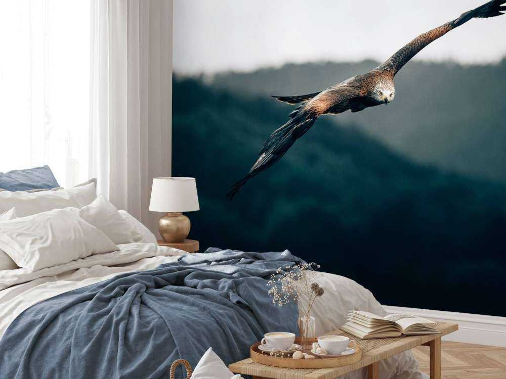 Red kite