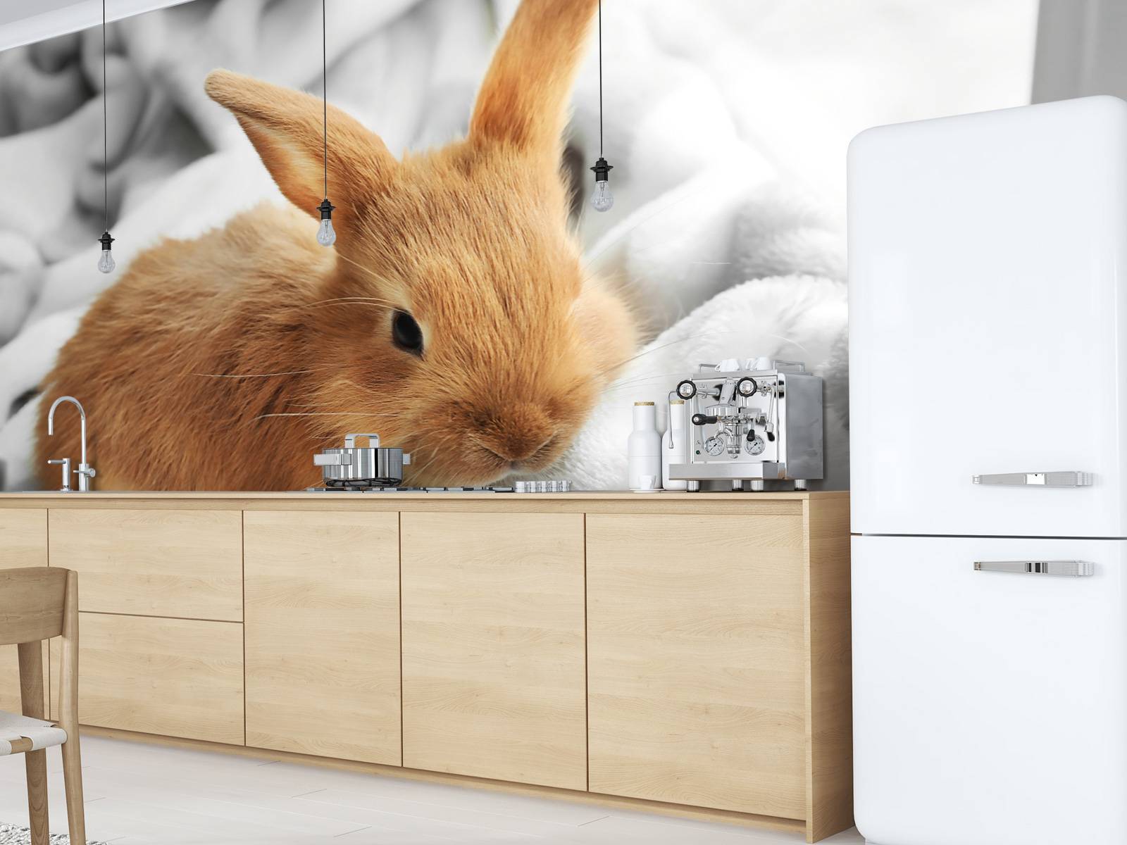 Brown rabbit