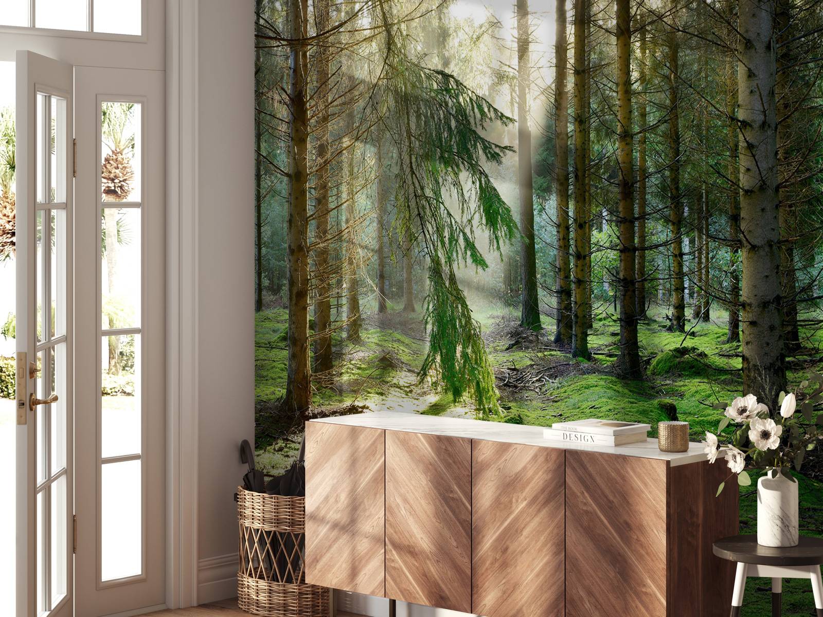 Coniferous forest in the morning sun