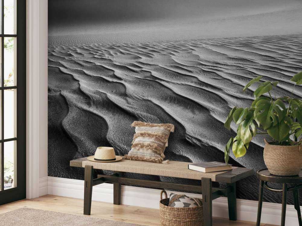 The Living Dunes, Namibia I