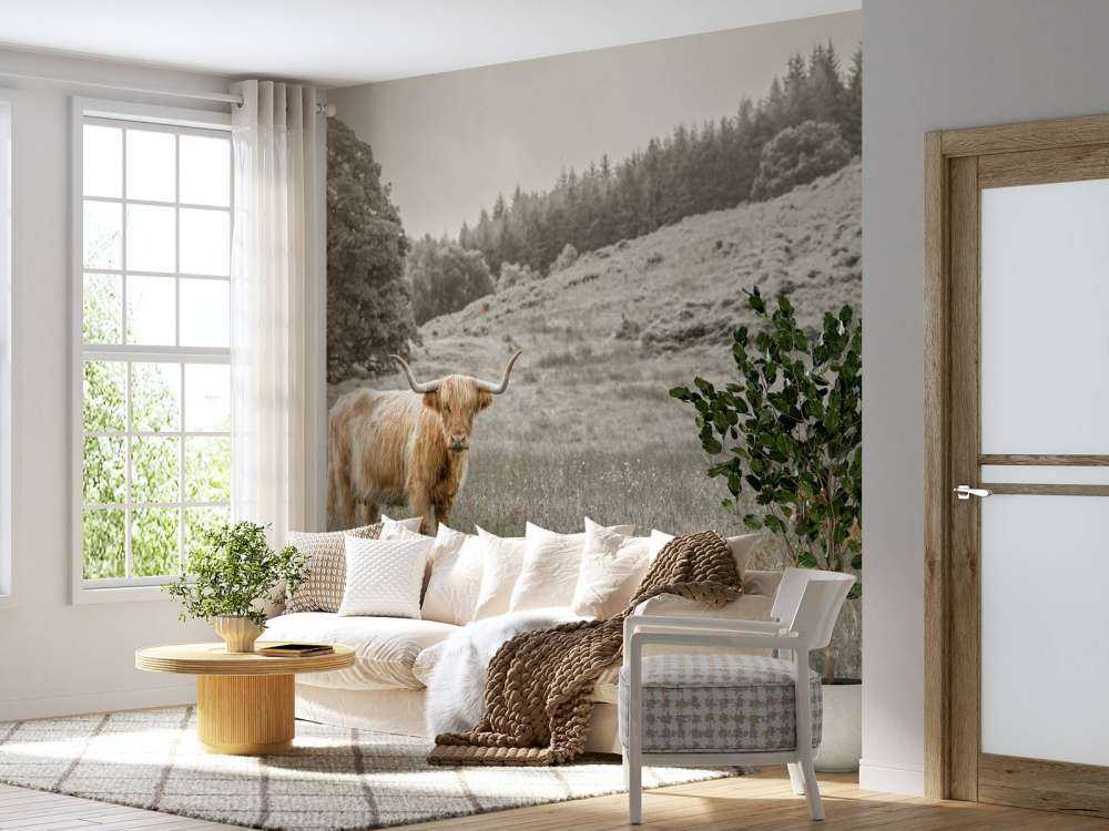 Scottish Highlander with calf