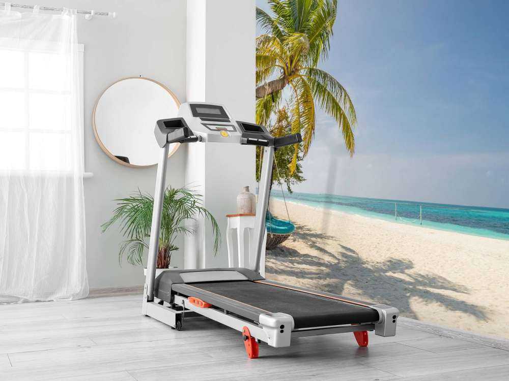 Tropical beach with swing