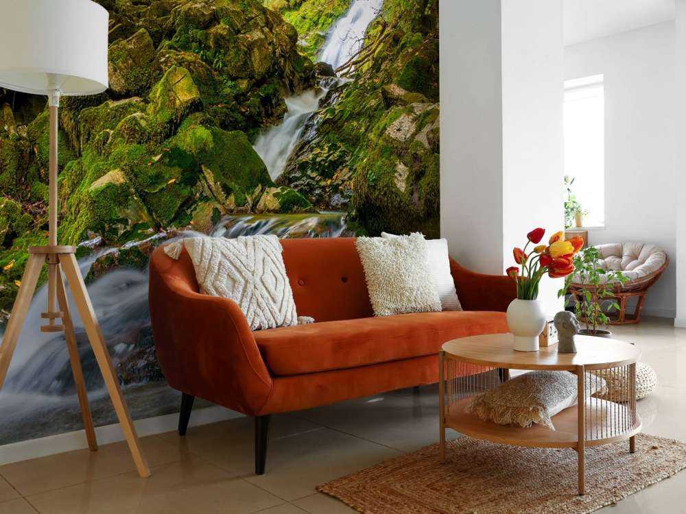 Waterfall in the middle of the forest