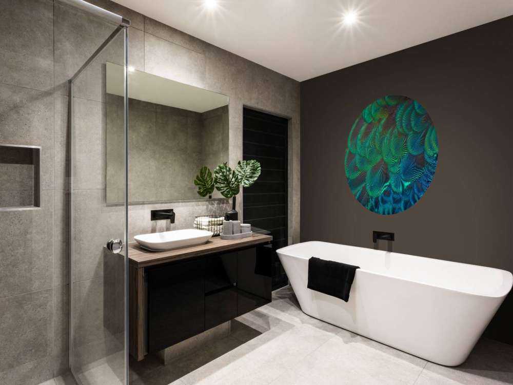 Close-up of peacock feathers