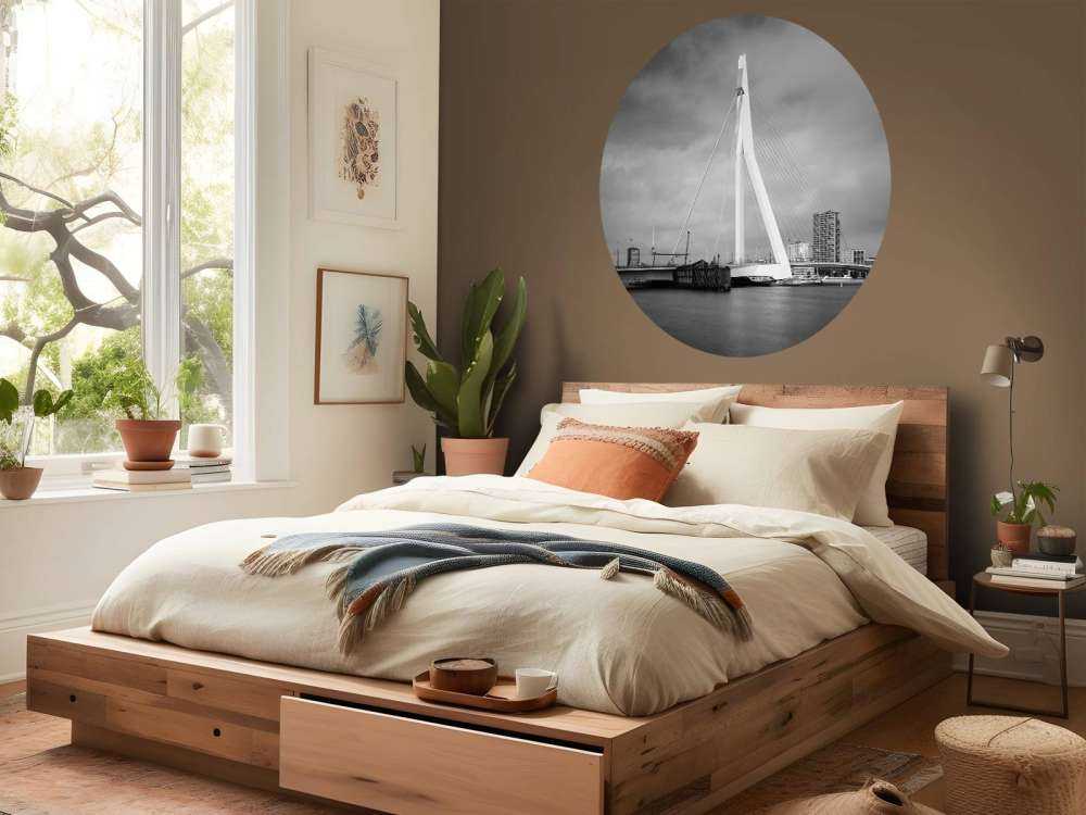 Erasmus Bridge Rotterdam 