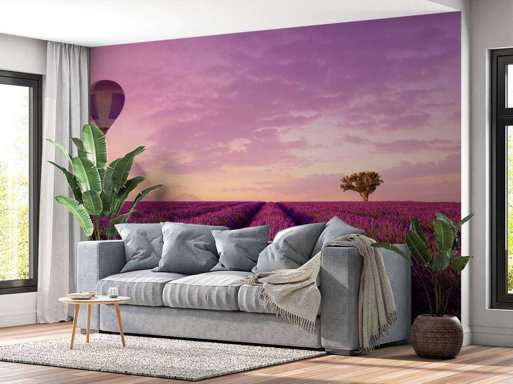 Lavender field and hot air balloon