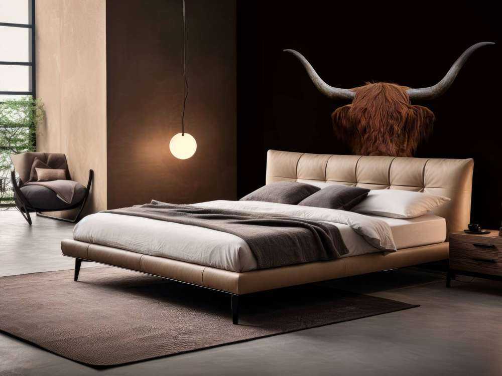 Scottish Highlander on dark background