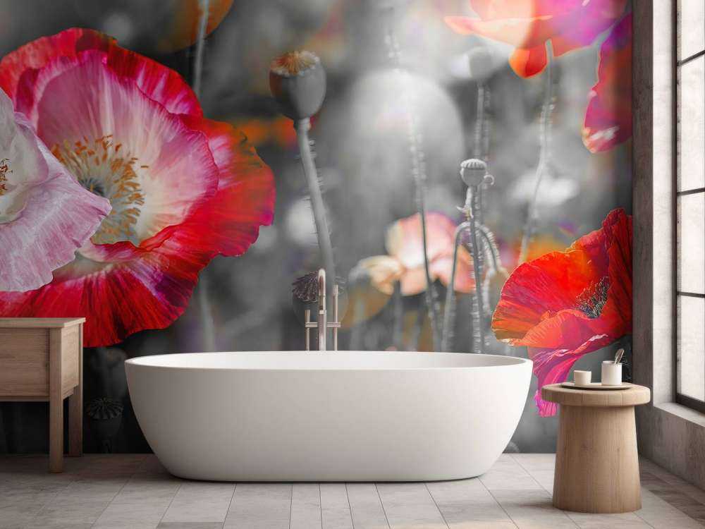 Poppies in black, white, red