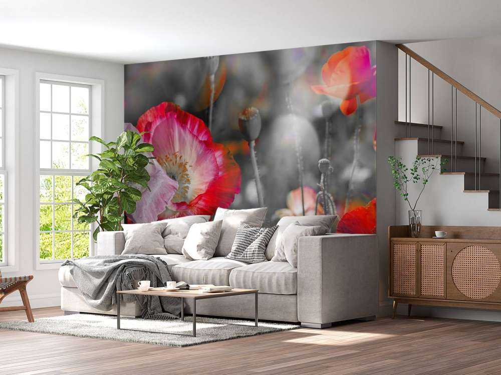 Poppies in black, white, red