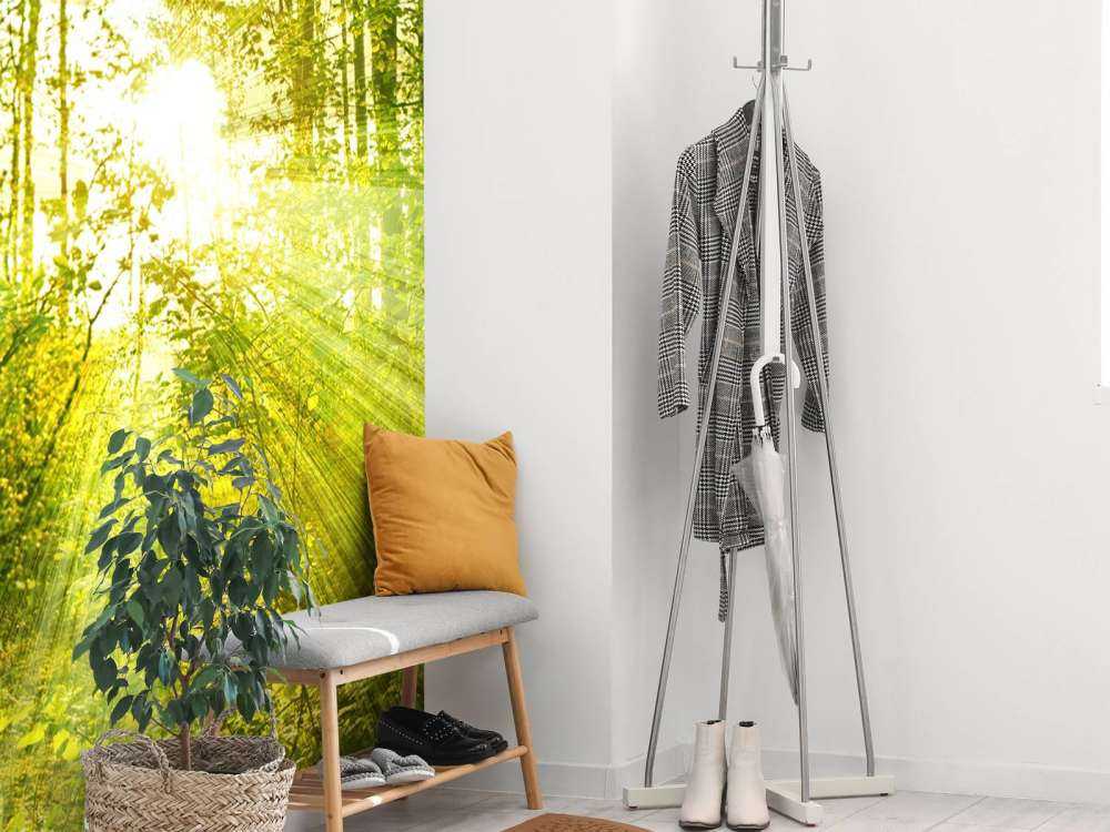 Sunshine in a green forest