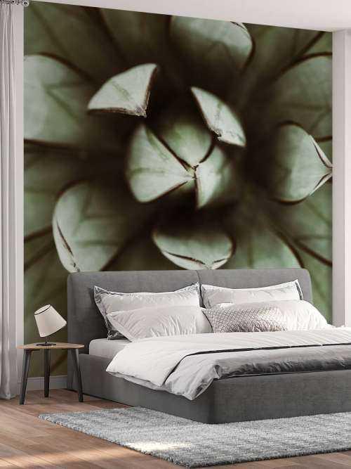 Fat plant